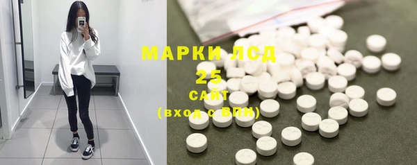 PSILOCYBIN Алзамай