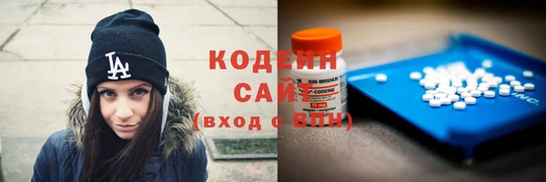 PSILOCYBIN Алзамай