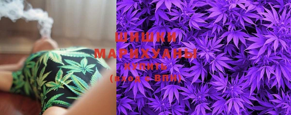 PSILOCYBIN Алзамай