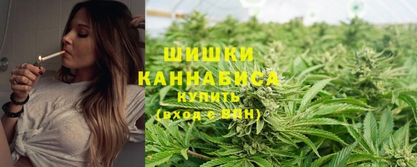 PSILOCYBIN Алзамай