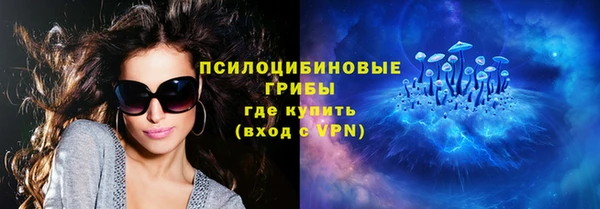 ГАЛЛЮЦИНОГЕННЫЕ ГРИБЫ Алексин