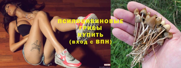 ALPHA-PVP Алексеевка